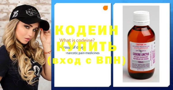 ГАЛЛЮЦИНОГЕННЫЕ ГРИБЫ Гусь-Хрустальный