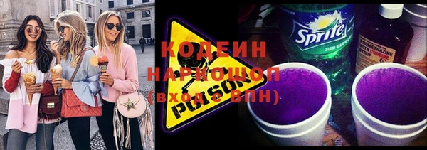 ГАЛЛЮЦИНОГЕННЫЕ ГРИБЫ Гусь-Хрустальный